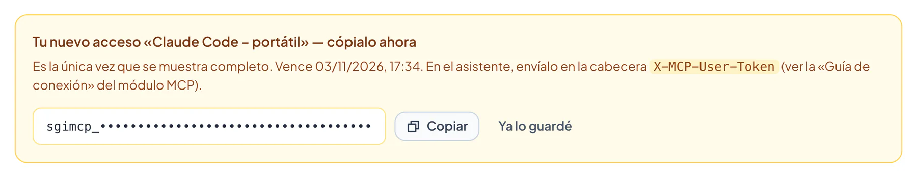 Tarjeta del token recién creado (token enmascarado)
